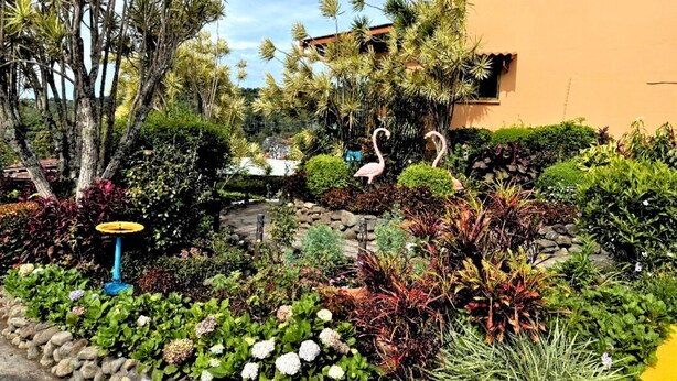 Un jardin agrémenté de plantes tropicales, d’une fontaine et de flamants roses.