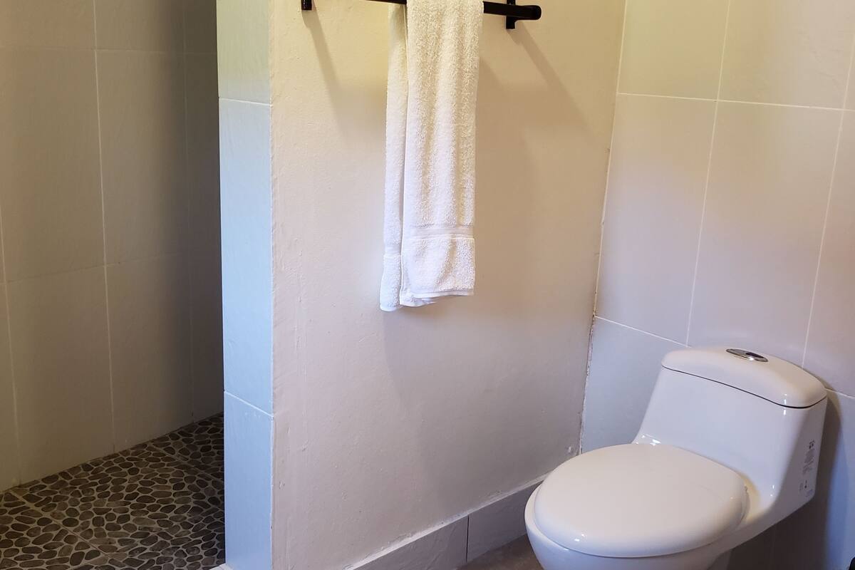 family room, 2 queen beds, non smoking | bathroom | shower, free toiletries, towels
