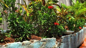 Jardines del alojamiento