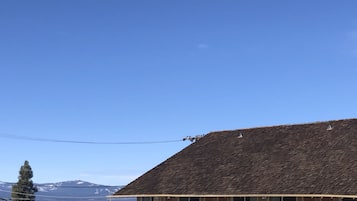 Vista desde la propiedad