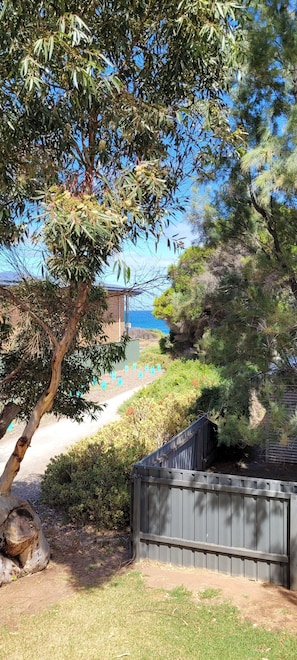 A backyard with a wooden fence, a tree, and a view of the ocean.