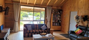 Smart TV, fireplace, books
