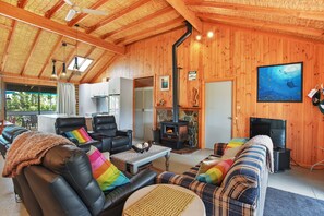 Smart TV, fireplace, books
