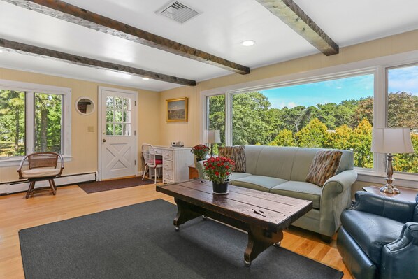 Smart TV, fireplace, DVD player, books