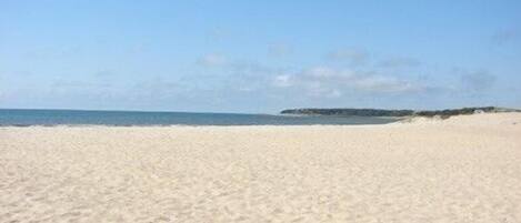 Playa en los alrededores y camastros 