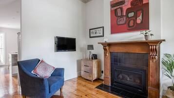 智能电视、壁炉、Netflix、书