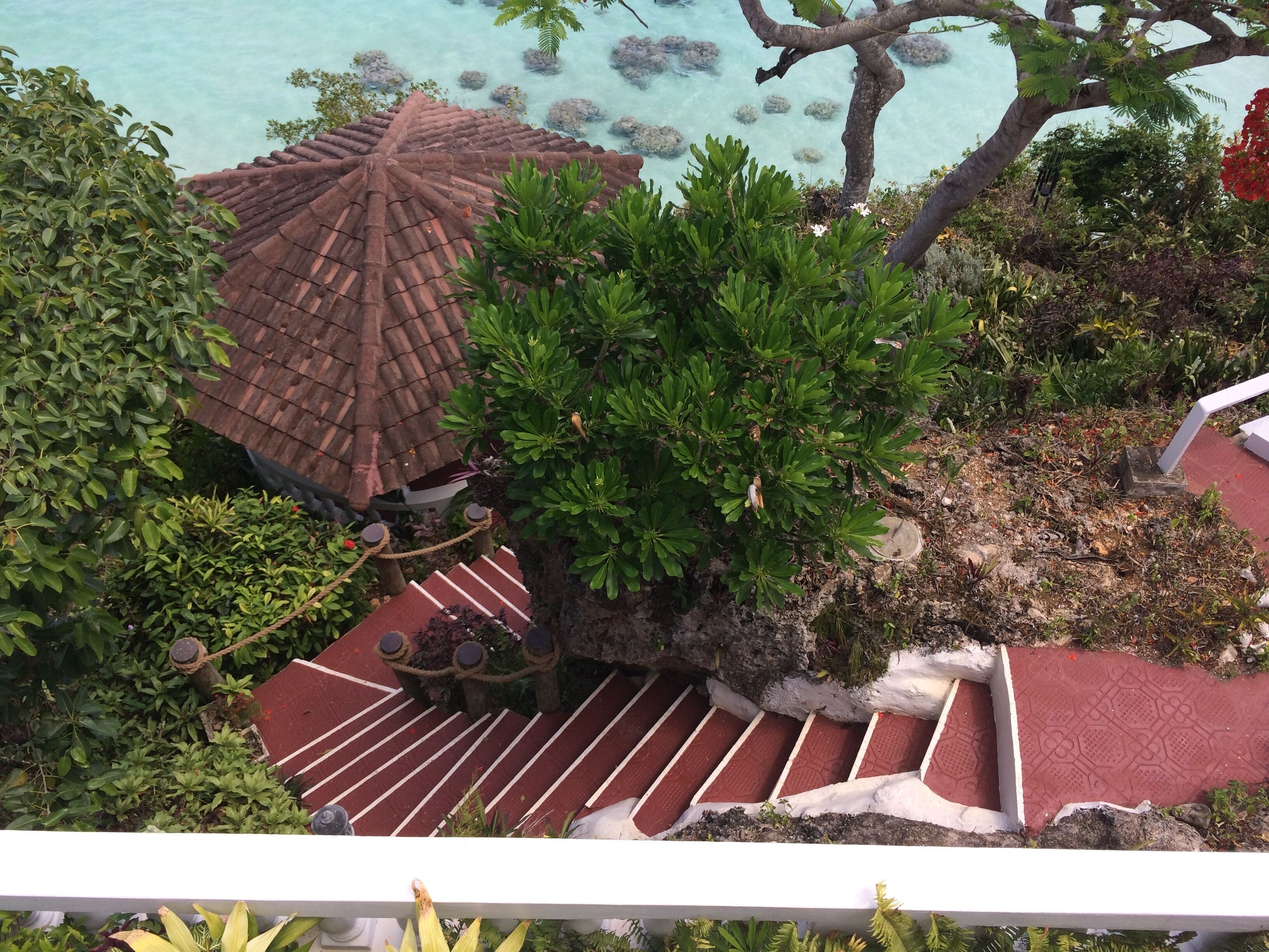 Un escalier aux marches rouges mène à une structure de toit recouverte de tuiles, qui est elle-même entourée d’une végétation luxuriante.