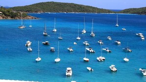 A marina with numerous boats docked, surrounded by a hilly landscape. - Amazing Condo in Cowpet Bay West, Steps From the Beach, Pool and Restaurants (St. Thomas)