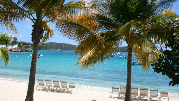 A beach with clear turquoise water, rows of beach chairs, and palm trees. - Amazing Condo in Cowpet Bay West, Steps From the Beach, Pool and Restaurants (St. Thomas)
