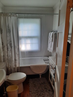 Combined shower/bathtub, hair dryer, towels, toilet paper