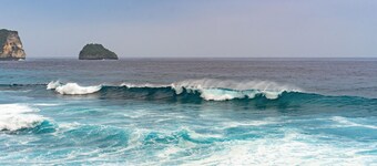 Apartment 3 rooms garden view