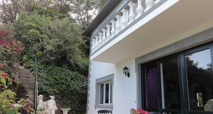 Madeiran Quinta with a wonderful 4000 m2 Botanical Garden with private pool