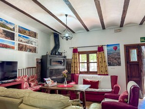 تلفزيون، مدفأة