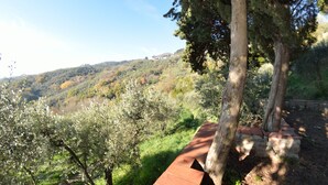 A hillside with trees and a brick pathway. - Wonderful  villa for 4 guests with TV, terrace and pets allowed, close to Lucca (San Gennaro)