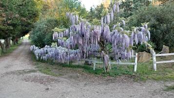 Enceinte de lâhĂ©bergement