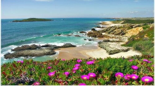 House in Costa Vicentina near the beach