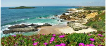 Casa en Costa Vicentina cerca de la playa