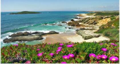 House in Costa Vicentina near the beach