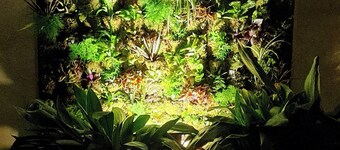 Casa Rural Miel y Romero for 8 people, (pet friendly).