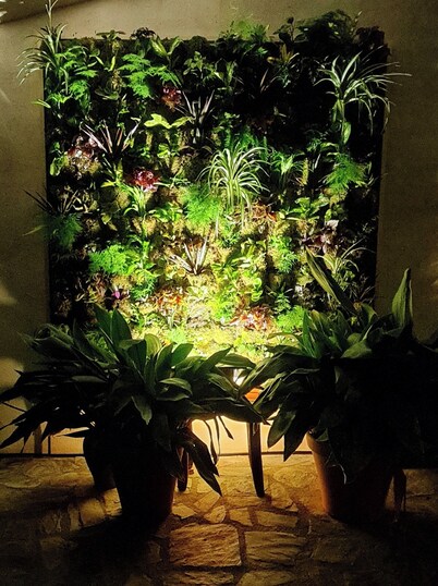 Casa Rural Miel y Romero for 8 people, (pet friendly).