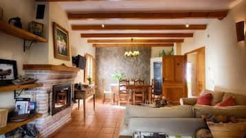 TV, fireplace, DVD player, books