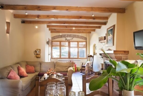 TV, fireplace, DVD player, books
