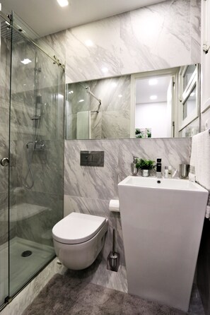 Hair dryer, towels, shampoo, toilet paper