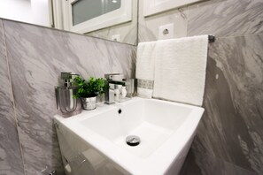 Hair dryer, towels, shampoo, toilet paper