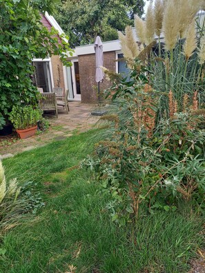 Um jardim com diversas plantas, um banco de madeira e um edifício com parede de tijolos e porta.