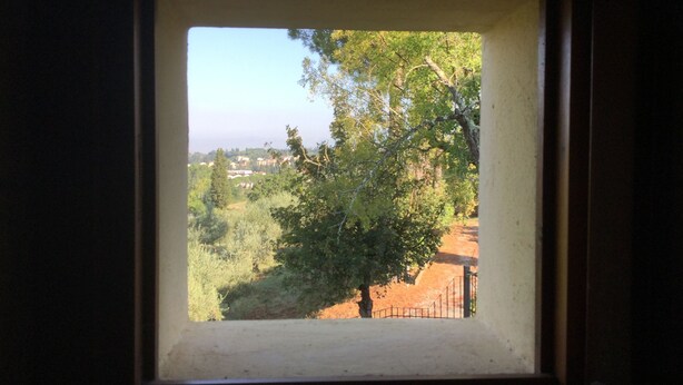 Une fenêtre donnant sur un arbre et un paysage lointain.