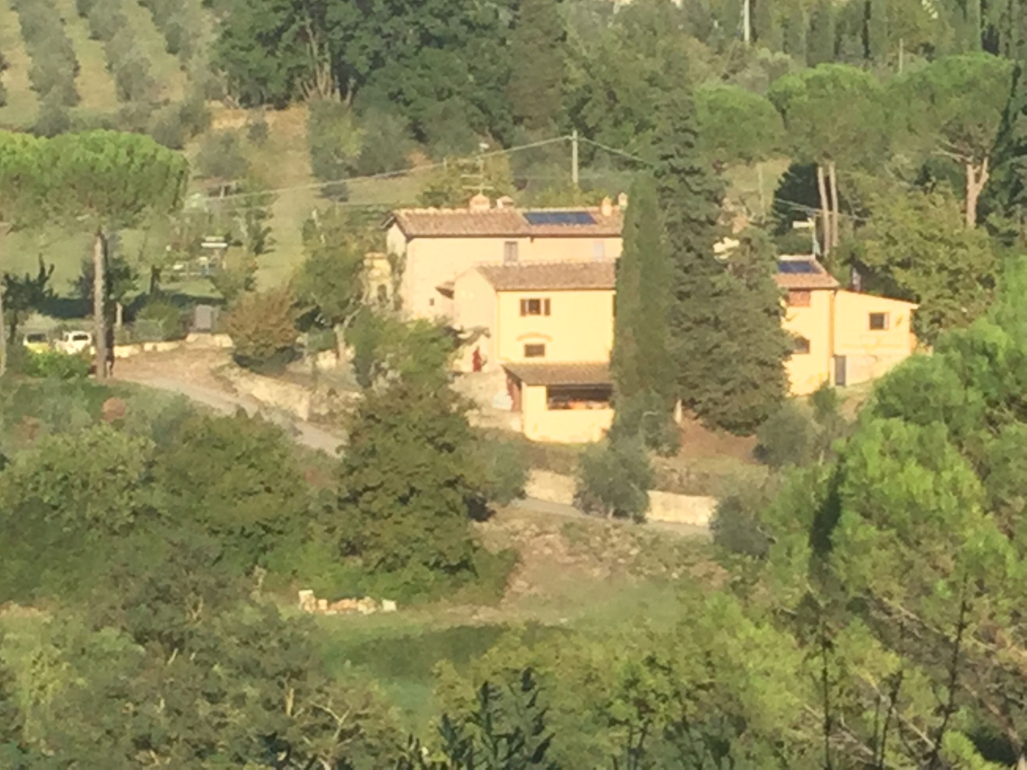 A rural house with a tiled roof, surrounded by trees and greenery.