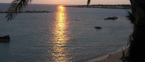 在海灘附近、沙灘巾