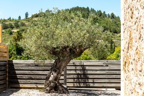 Property grounds - Between land and sea in the Cathar region (Durban-Corbières)
