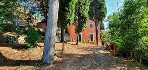Plant, Window, Building, Tree, Branch, Wood, Land Lot, Sunlight, House, Road Surface