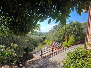 A paved pathway leading to a building with a tiled roof, surrounded by lush greenery and trees.