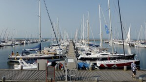 Een jachthaven met talloze zeilboten in de haven, een houten looppad en een heldere lucht.