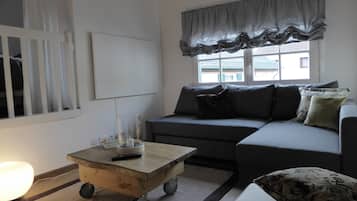 TV, fireplace, books, stereo