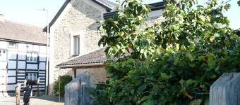 stylish and cozy living in Tudor style house right in the historic Ziehbrunnen