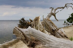 Beach nearby, sun-loungers - Cottage on the Bay of Greifswald between the sun islands of Rügen and Usedom (Ludwigsburg)
