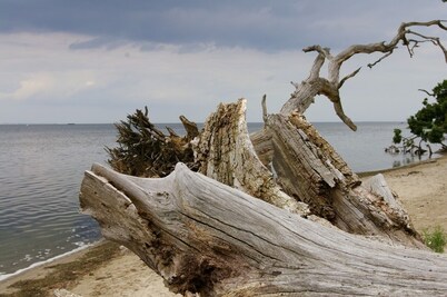 Cottage on the Bay of Greifswald between the sun islands of Rügen and Usedom