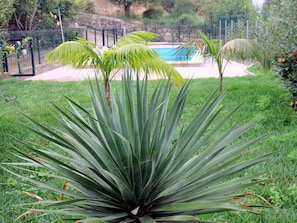 Der Pool im Grünen mit der Liegewiese