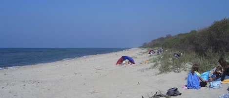 In Strandnähe, Liegestühle