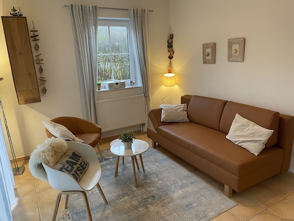 Flat-screen TV, DVD player, books, music library