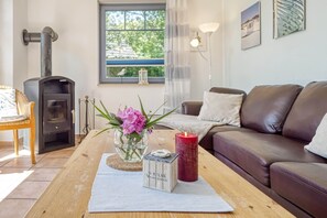 Smart TV, fireplace, DVD player, books