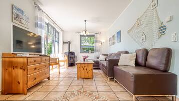 Una Smart TV, una chimenea, un reproductor de DVD, libros