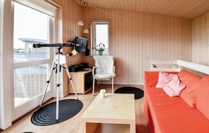 TV, fireplace, DVD player