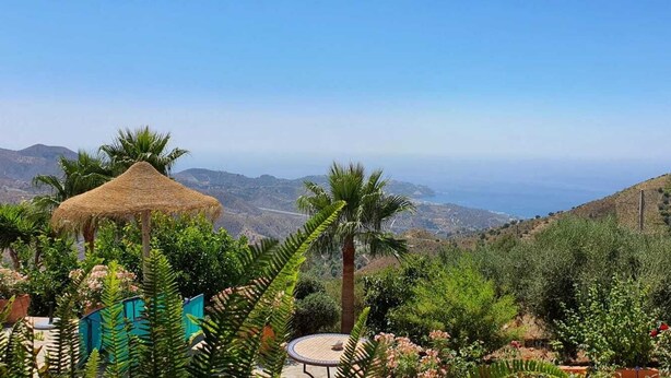 A patio with a thatched roof, surrounded by lush greenery and a view of distant hills.