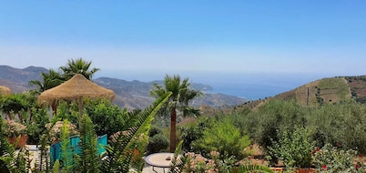 Stylish Andalusian country house with pool in olive grove facing the sea