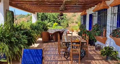 Cortijo andaluz elegante con piscina en olivar frente al mar