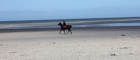 Vlak bij het strand